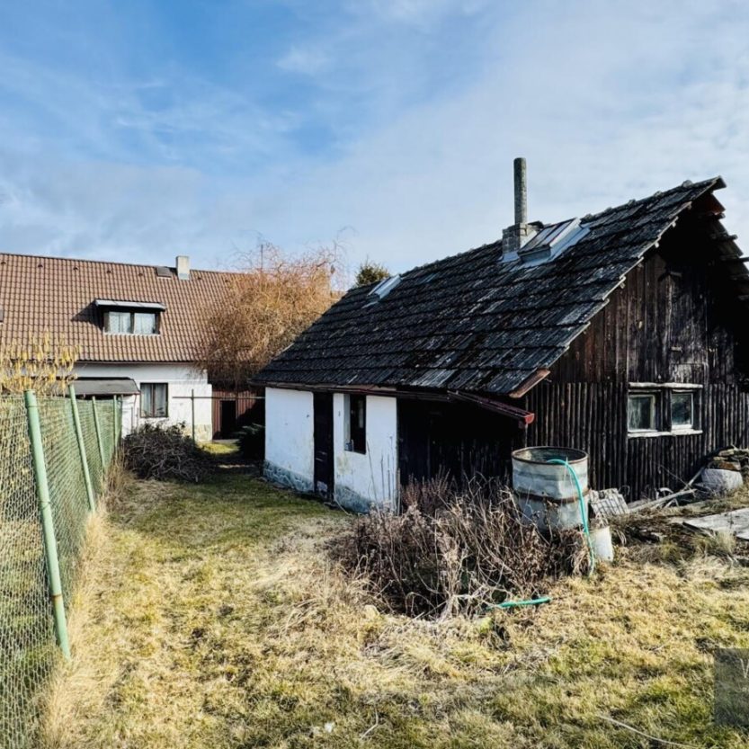 1741271233_WbcRmi0dIp