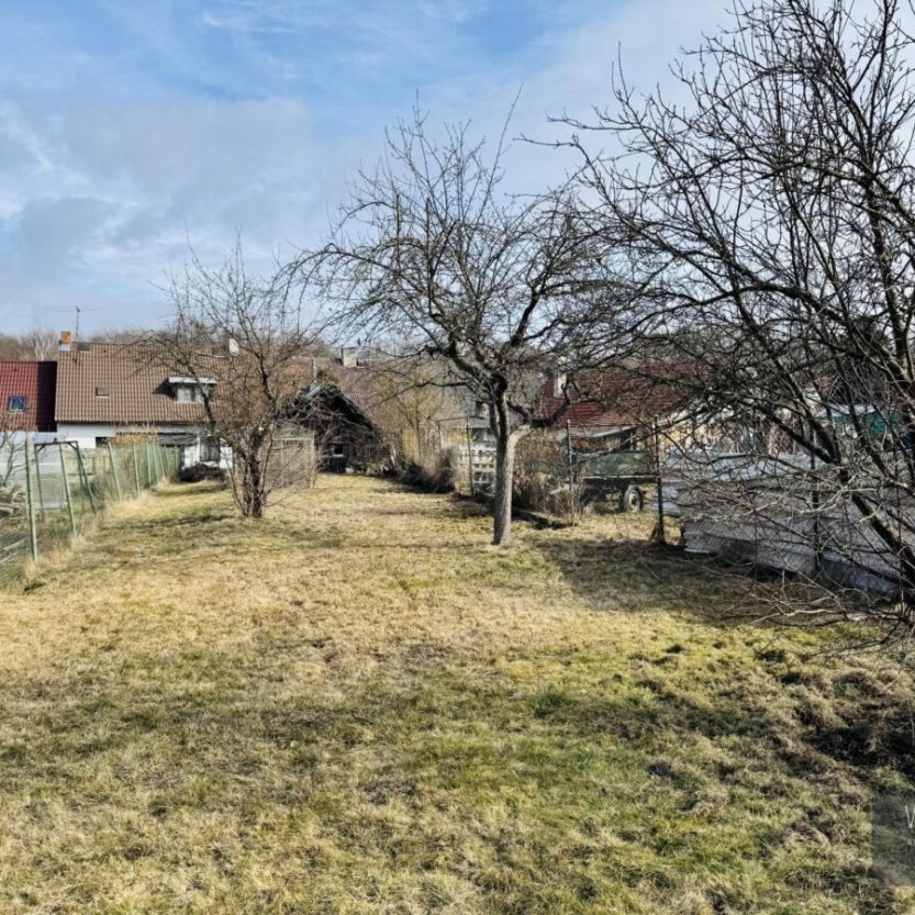 1741271236_1qcYkr63Jz