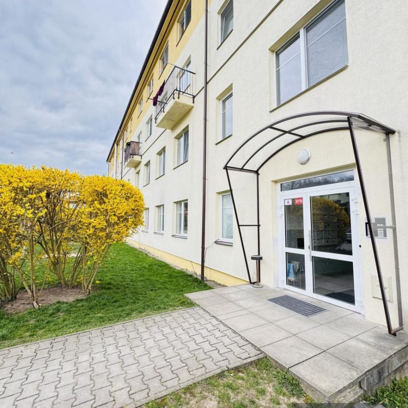 1744560248_qzBv2trhJf