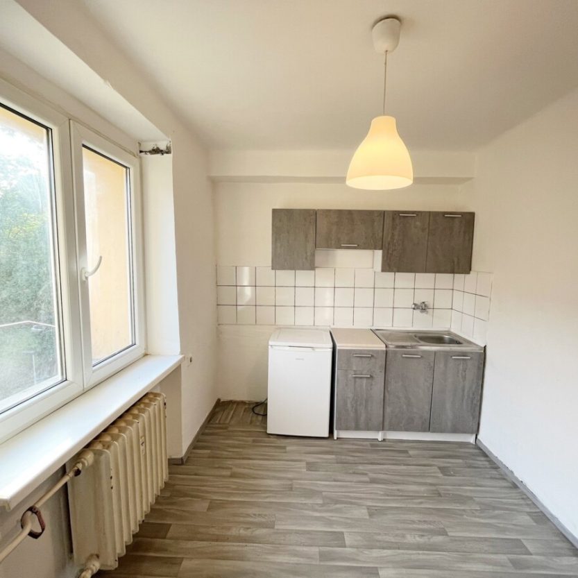 investicni-byt-1-1-v-ostrave-zabrehu-o-velikosti-30m2-na-ulici-cujkovova-img-0664-3580f1